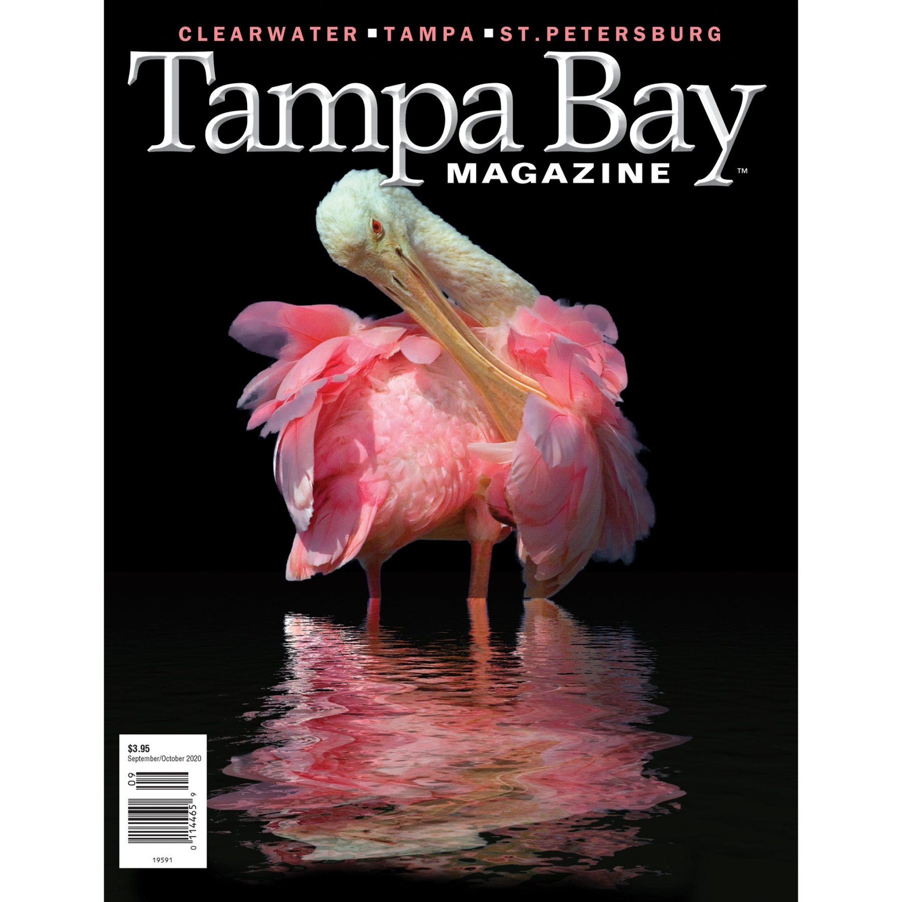 Karen Post of Home Frosting featured on Tampa Bay Magazine